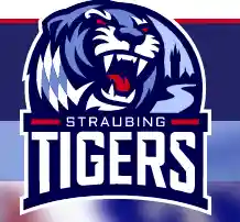  Straubing Tigers Gutscheincodes